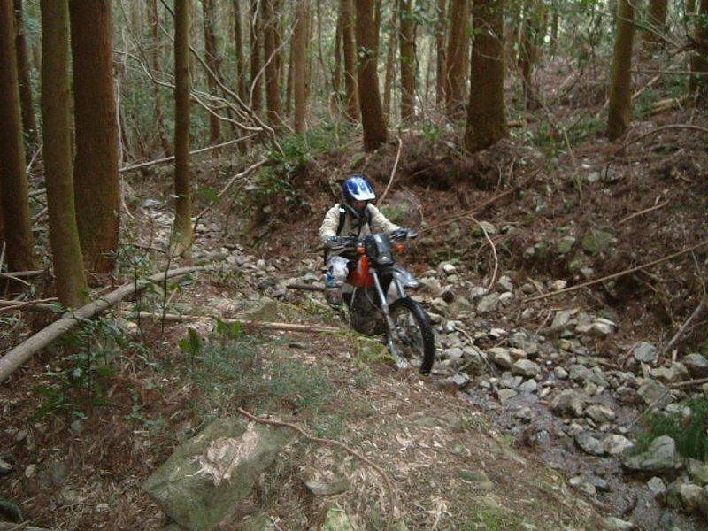 f0061705_224820100.jpg