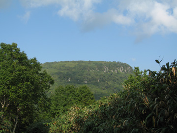 d0051707_4334316.jpg