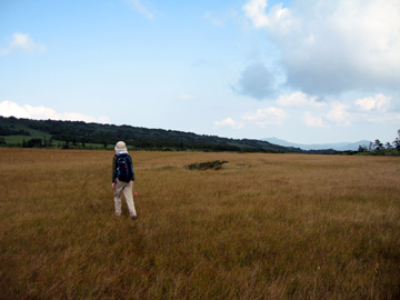 d0051707_4493326.jpg