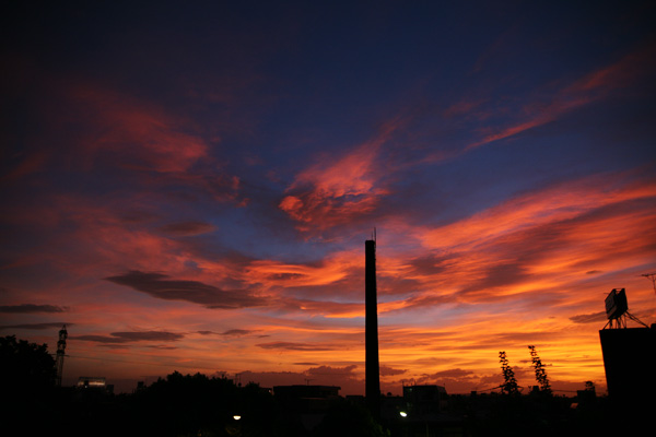 a0008508_2226424.jpg