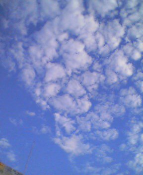 c0010011_1714327.jpg