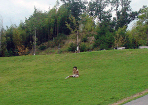 a0055913_065925.gif