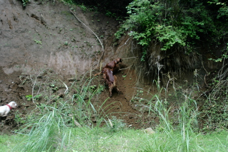 f0083013_14462437.jpg
