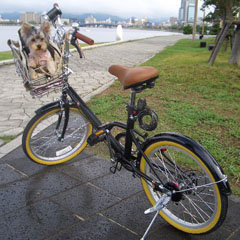 c0036617_1803039.jpg