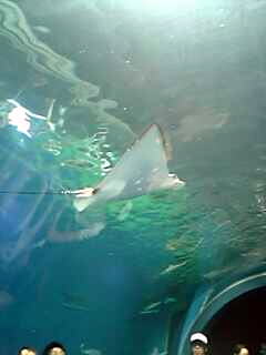 c0089719_23301100.jpg
