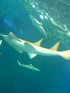 c0089719_23305485.jpg