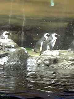 c0089719_23335356.jpg