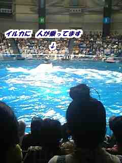 c0089719_23361273.jpg