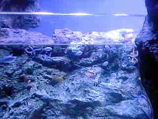 c0089719_23435961.jpg