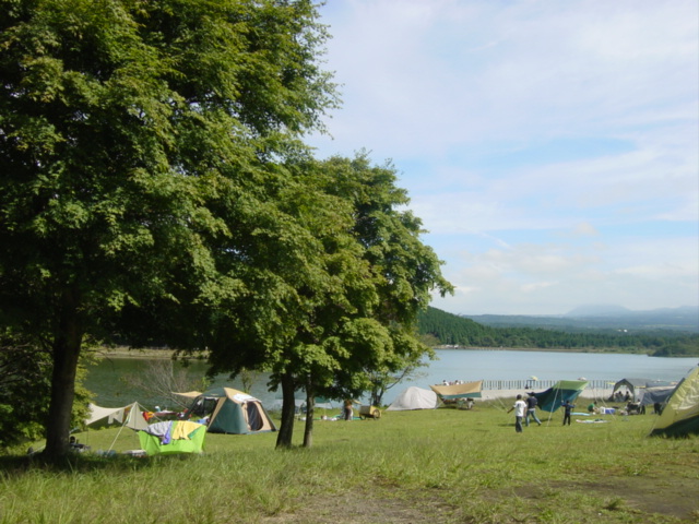 d0064329_1022685.jpg