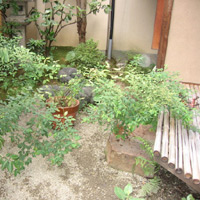 d0033734_10514253.jpg
