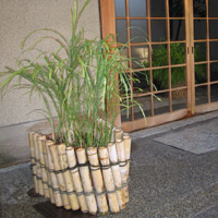 d0033734_12264719.jpg