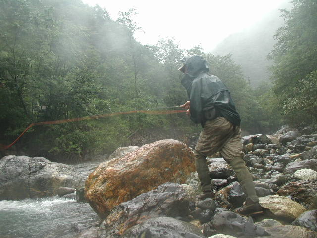 a0054043_1426597.jpg