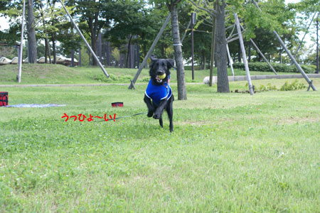 f0018144_10175427.jpg