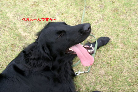 f0018144_10425613.jpg