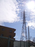 e0080345_1755068.jpg