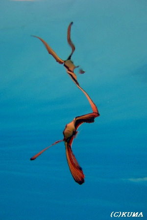 e0027447_21371734.jpg