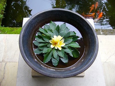 f0056250_209020.jpg