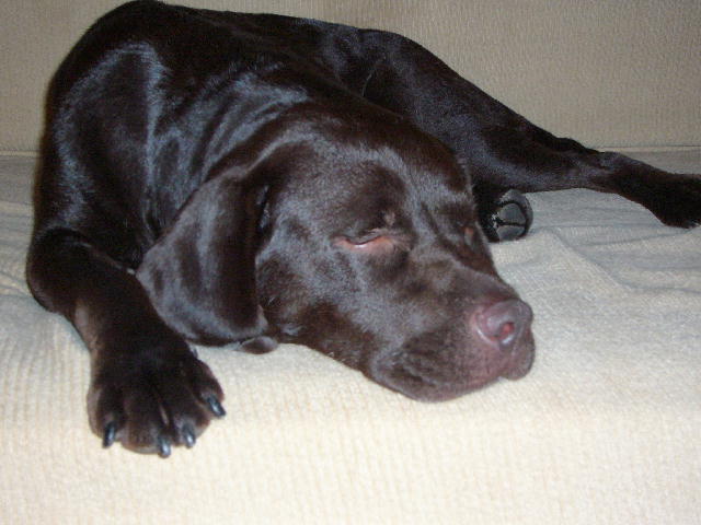 f0057565_0495464.jpg