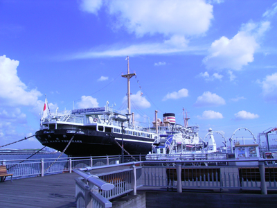 f0052269_1872728.jpg