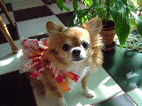 f0052071_84835.jpg