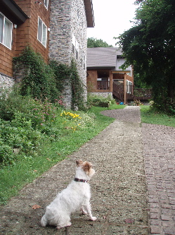 f0045872_17332139.jpg