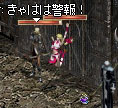 c0013975_8162023.jpg