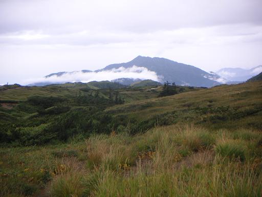 f0054075_1452457.jpg
