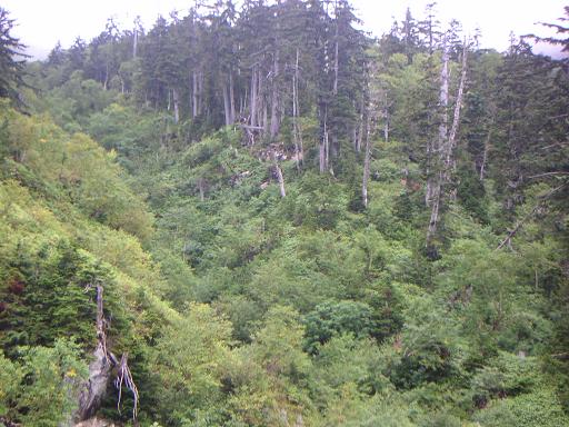 f0054075_14571528.jpg