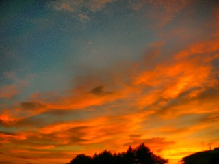 c0078480_23531716.jpg