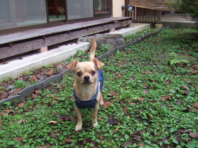 a0067882_193724100.jpg
