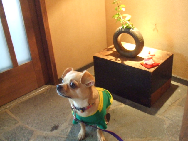 a0067882_19523535.jpg