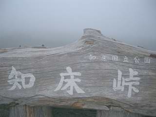 a0040888_16205068.jpg