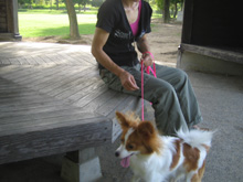 f0035288_0233030.jpg
