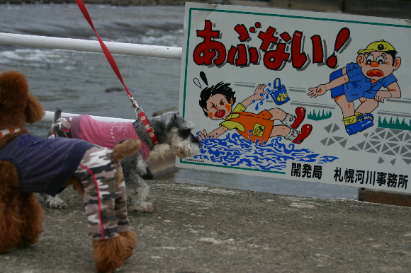 f0001895_15362463.jpg