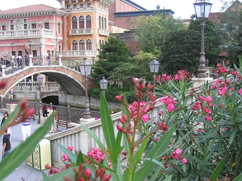 b0097898_21232826.jpg