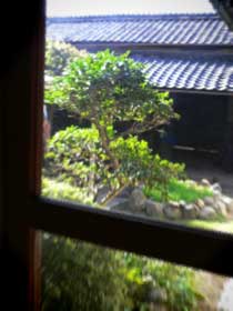d0077603_10293498.jpg