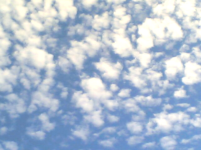 c0077105_0144421.gif