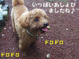 a0007906_2191246.jpg