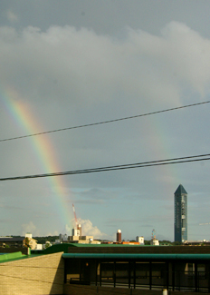 a0052011_2345996.jpg