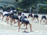 c0004211_12916.jpg