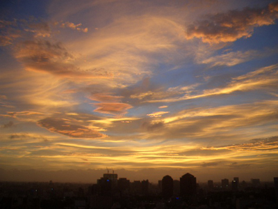 c0080716_20241611.jpg