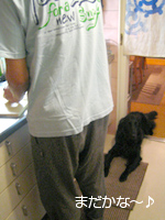 c0012120_1151966.jpg
