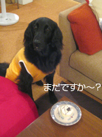 c0012120_1331920.jpg