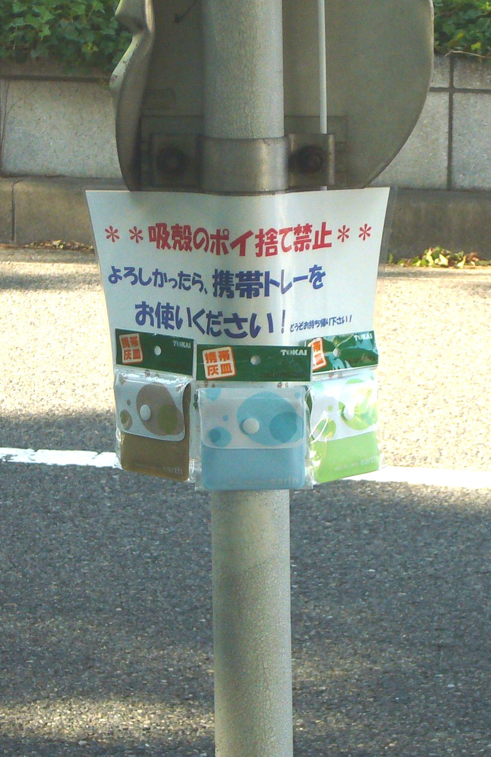 f0100920_1617154.jpg
