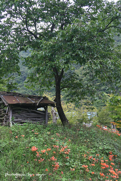 d0036630_1339231.jpg
