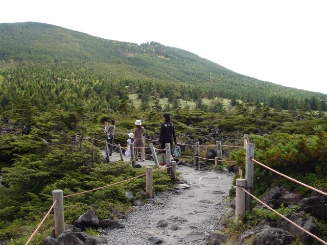 d0010531_752841.jpg