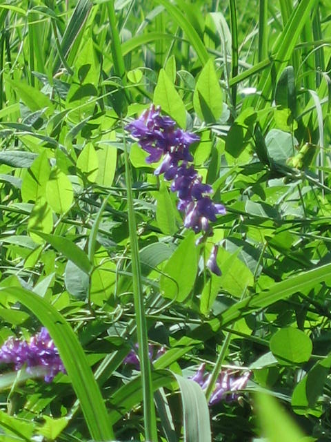 b0088037_7244610.jpg