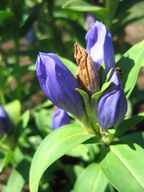 b0088037_7325827.jpg