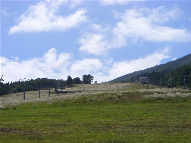 b0102639_17143257.jpg